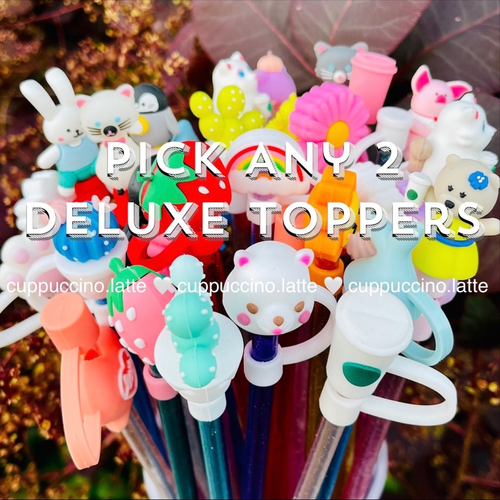 ✨PICK ANY 2✨Deluxe Straw Topper Covers